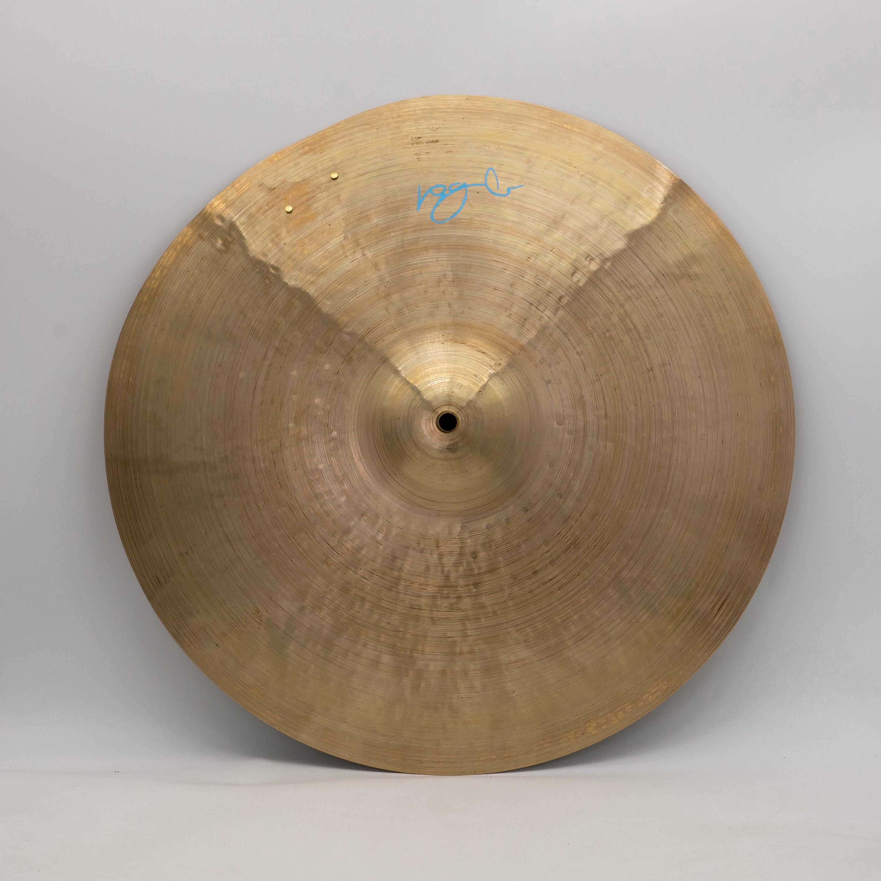 19" Oyster
