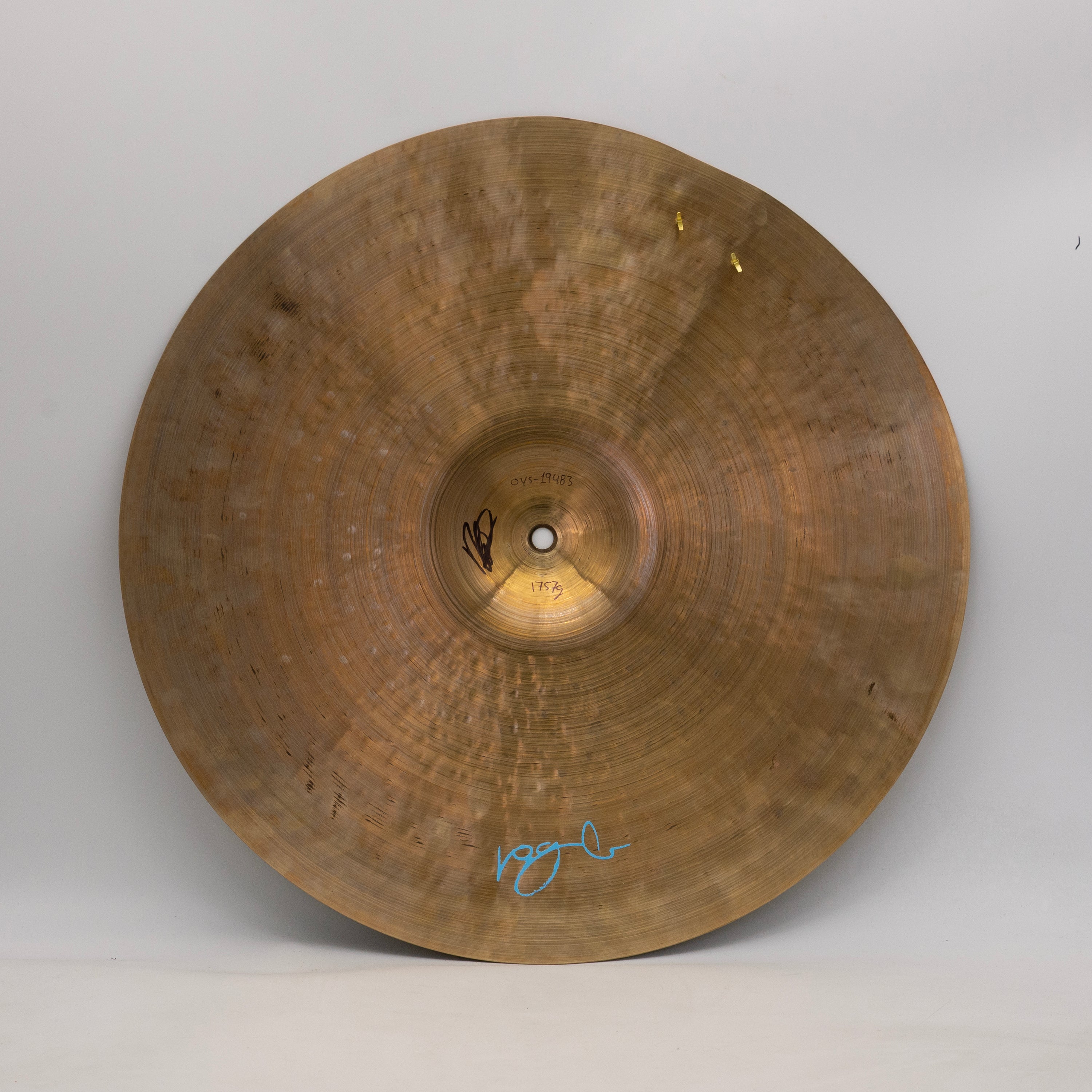 19" Oyster